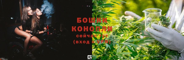 ешки Гусиноозёрск
