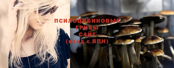 твердый Дмитров