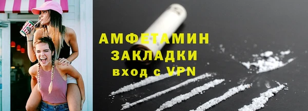 твердый Дмитров