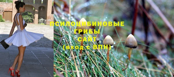 твердый Дмитров