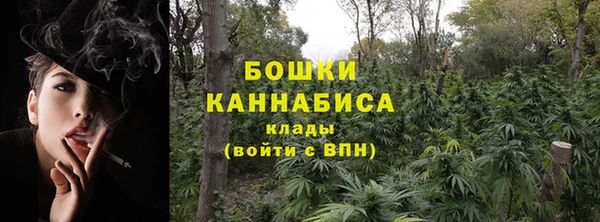 твердый Дмитров